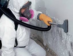 Best Industrial Mold Remediation in Reliez Valley, CA